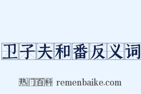 卫子夫和番反义词是什么意思的图片